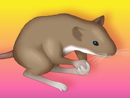 Add to your messages or photos any expressive mouse to share your mood or thoughts