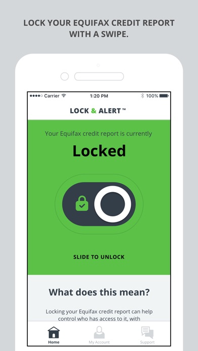 Lock & Alert screenshot 2