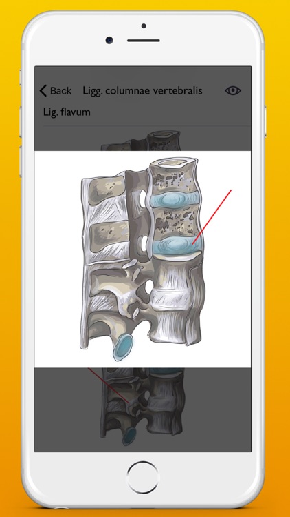 Atrhrology atlas app screenshot-4