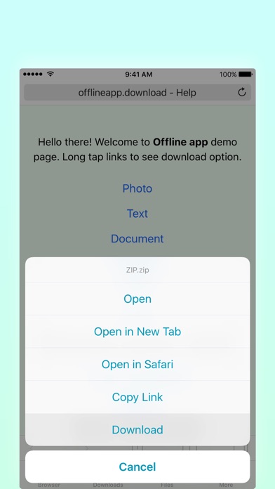 Offline Files & Web B... screenshot1