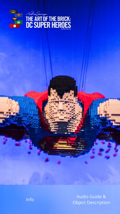 THE ART OF THE BRICK: DC SUPER HEROES