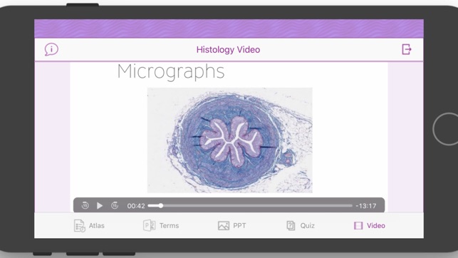 Histology Cell Tissue(圖9)-速報App