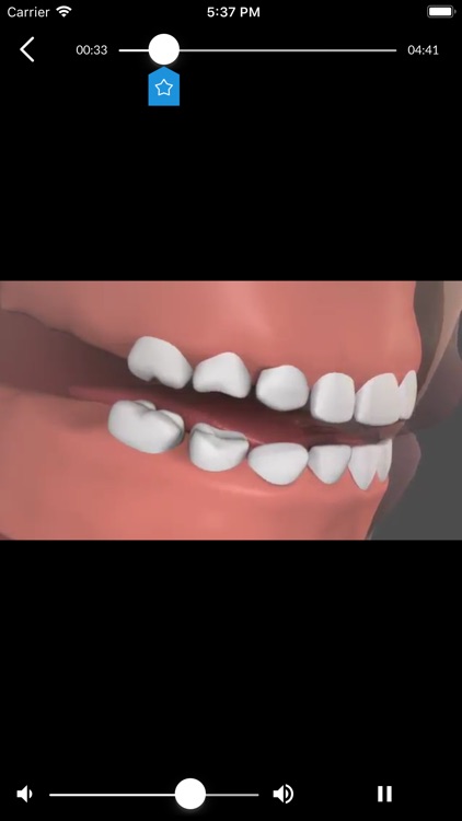 Toothflix 2.0