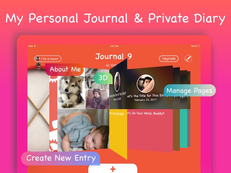 Journal 9 - Daily Journal