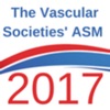 VSASM2017