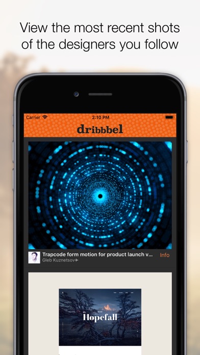 Dribbbel screenshot 4