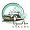 Car washing service in the United Arab Emirates