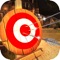 Challenge Archery Shooting is fun and easy to control, only shoot arrows at target