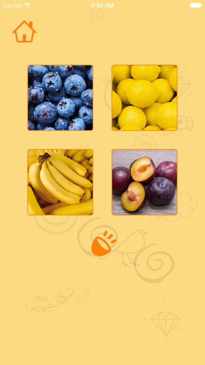 Fruit | English screenshot-3