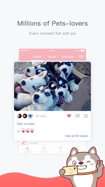Yourpet, a community for pet lovers screenshot-3