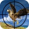Challenge Sniper - Bird Hunt