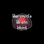Bernard's 3D Brain Hunt