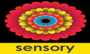 Sensory Mandala