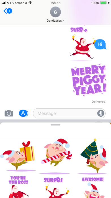 Christmas 2019 Piggy New Year screenshot 3