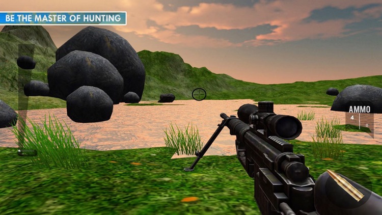 Duck Shoot: Animal Hunting