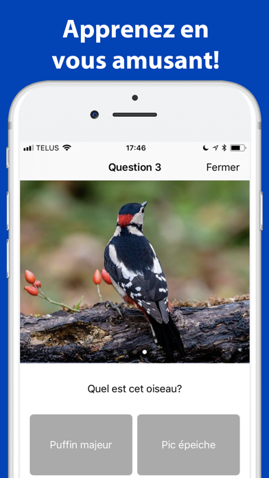 Screenshot #2 pour Quel Oiseau! (Europe)