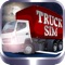 TruckSim: 3D Night Parking Simulator