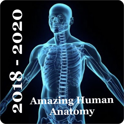 Human Anatomy  Encyclopedia iOS App