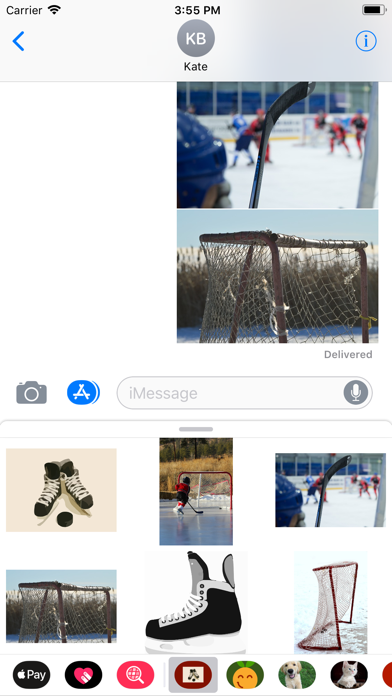 Hockey Sticker Pack screenshot 4