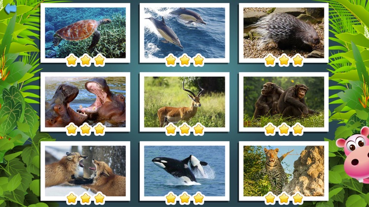 Kids Puzzle Game: Wild Animals