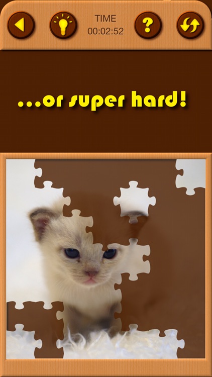 Cat Kitten Jigsaw Puzzle Games screenshot-3