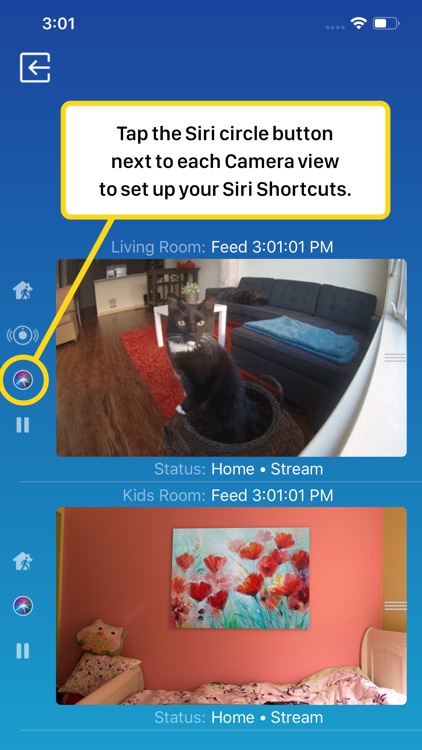 Watch Cam for Nest Cam screenshot-3