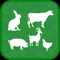 MyFarm is a livestock farm management application that helps livestock farmers optimize the performance of their farms and increase their productivity and profits