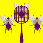 FlySwat 2 Intuitive