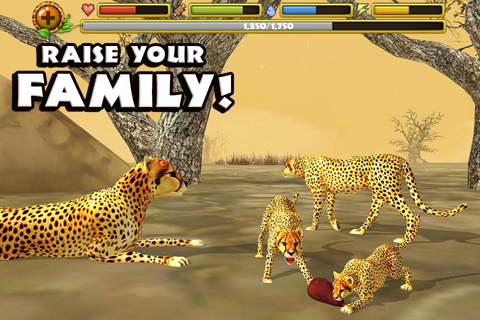 Cheetah Simulator screenshot 4