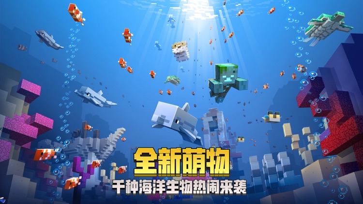 我的世界 screenshot-5