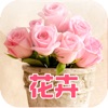 中国花卉门户网