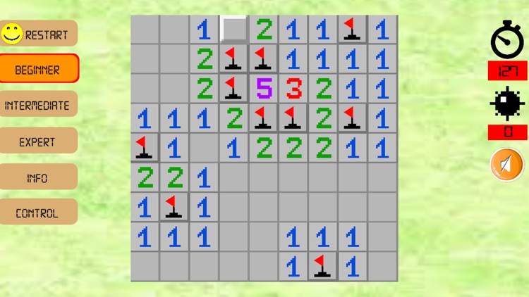 MinesSweeper Puzzle