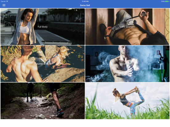 Screenshot #5 pour Swiss Ball Stability Workouts