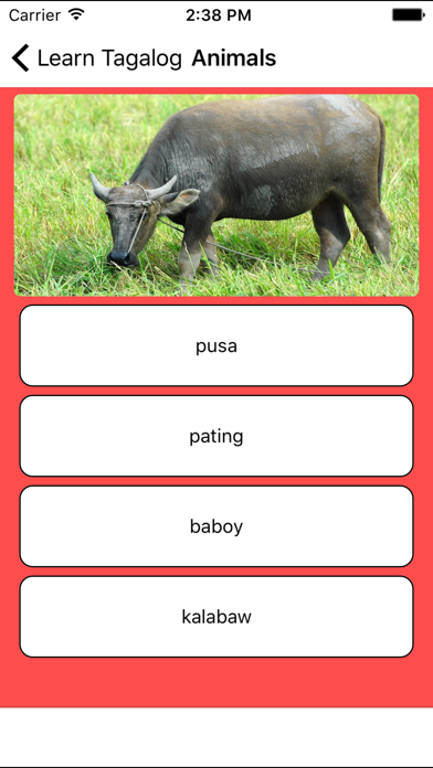 Learn Tagalog - Flash... screenshot1