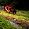 Discover How To Make Your Organic Garden Thrive With The Insects & Organic Gardening App