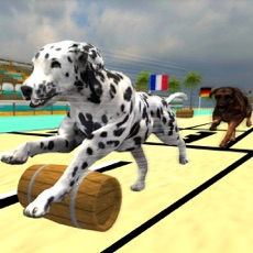 Activities of Lava Super Hound Racing