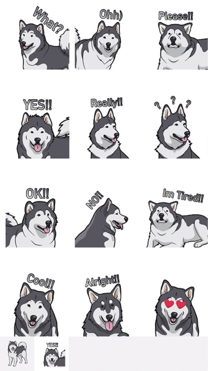 My Malmute DogMoji Stickers