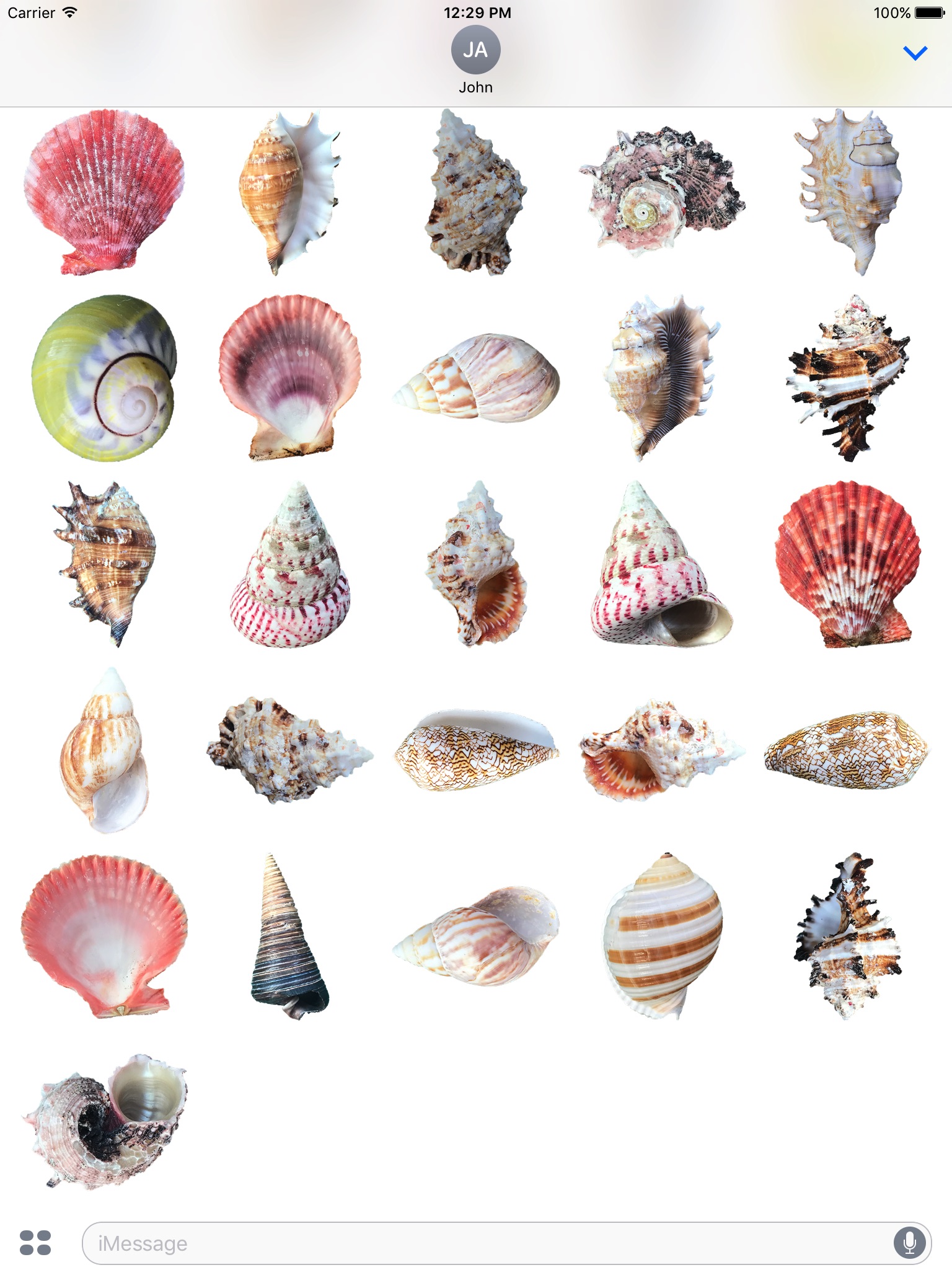 Shells! screenshot 2