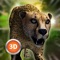 Animal Simulator 3D - Cheetah etc