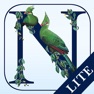 Get Newman’s Birds of Africa LITE for iOS, iPhone, iPad Aso Report