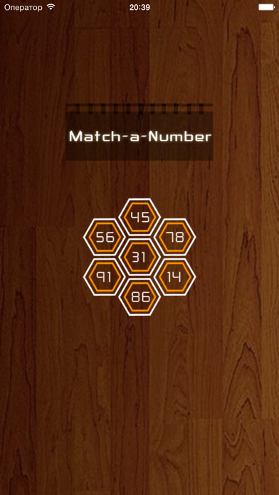 Match-a-Number screenshot 1