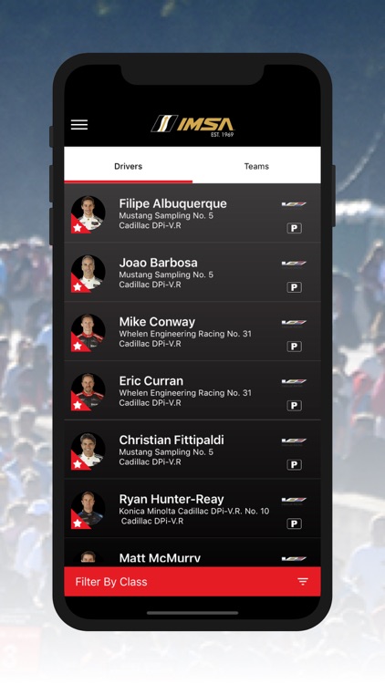 IMSA screenshot-4