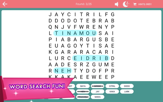 Word Search Fun