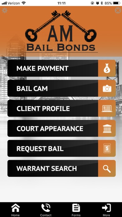 AM bail Bonds screenshot 3