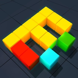 Block Fit 3D - Fill the Blocks