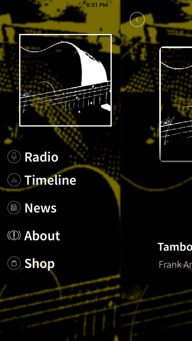TambourineMan Radio screenshot 2