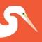 Your ultimate resource for bird watching