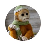 Amazing Zoo Sticker