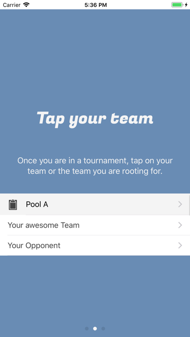 Tourney Sports screenshot 2