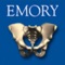 3D depiction of the complex organization of the male pelvis into a concise, visually engaging, easy-to-use format for teaching, training, and consulting